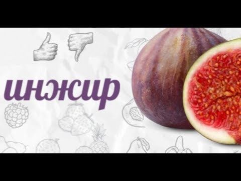 Поднять потенцию народными средствами, преимущества лечения.