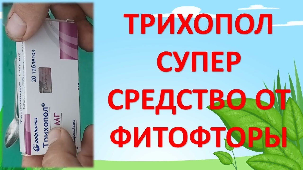 Потенция эффективное средство реализации фгос – The IGBO PAGE