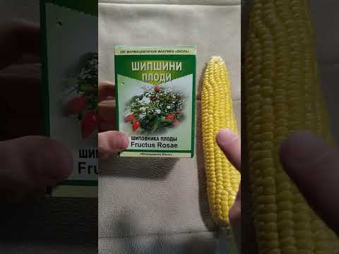 Vosstanovlenie-muzhskoy-potenciiВосстановление мужской потенции после удаления предстательной.