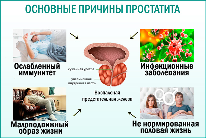 Лекарства для профилактики простатита и повышения потенции у.