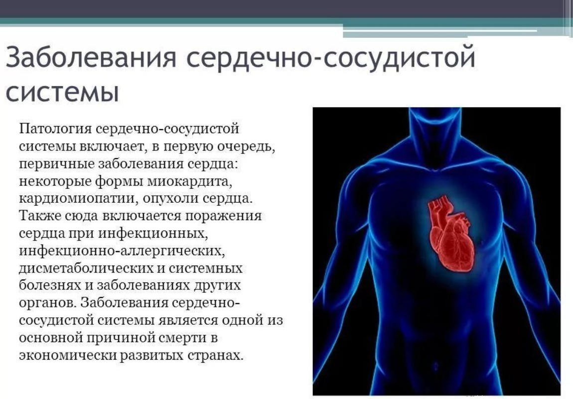 ТОП-7 лучших препаратов для потенции рейтинг, отзывы