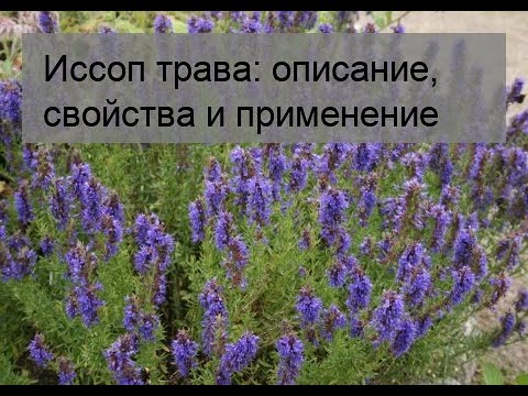 Показание это. Что такое показание?